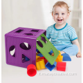 Plastic Game Children 9pcs Shape-Sorter